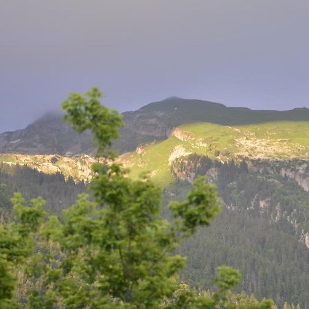 Domaine Du Grand Tetras Samoens Appartement Buitenkant foto