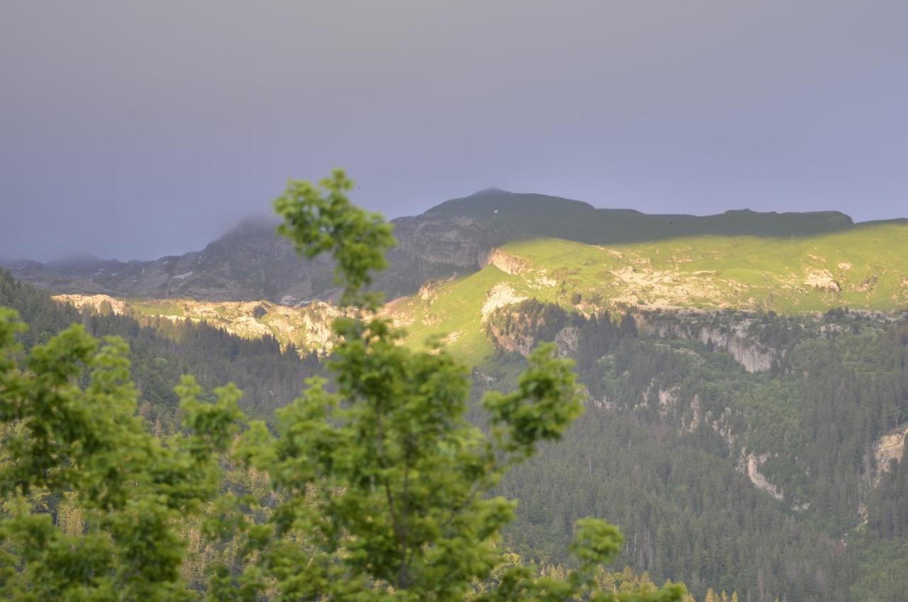 Domaine Du Grand Tetras Samoens Appartement Buitenkant foto