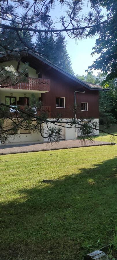 Domaine Du Grand Tetras Samoens Appartement Buitenkant foto