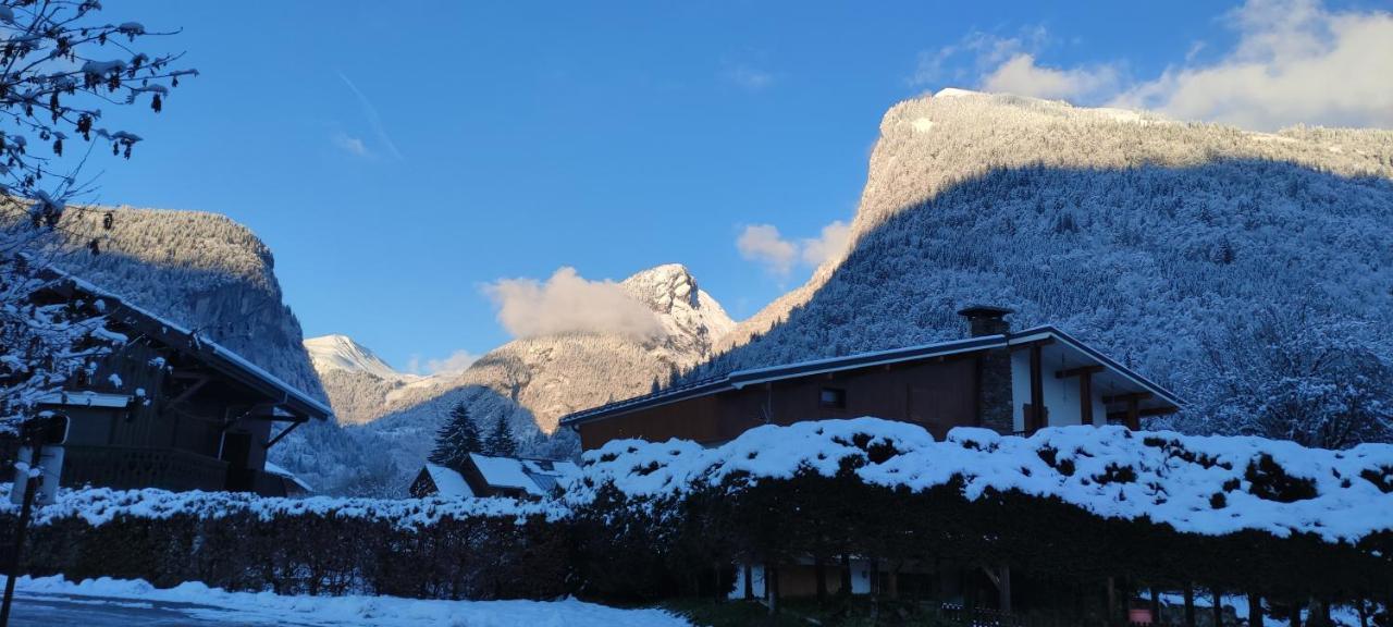 Domaine Du Grand Tetras Samoens Appartement Buitenkant foto